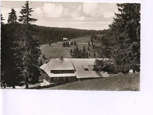 Feldberg Schwarzwald Menzenschwanderhütte ngl 14.805