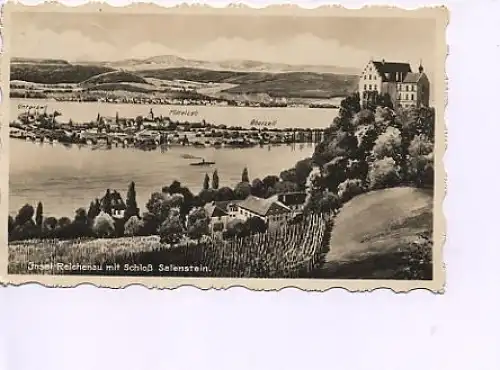 Insel Reichenau mit Schloß Salenstein gl1937 14.395