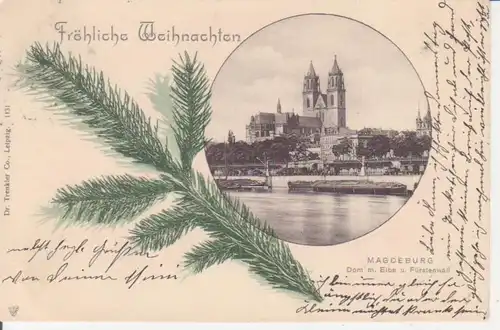 Magdeburg Dom Elbe Fürstenwall gl1901 90.632