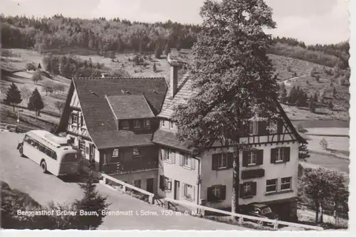 Brandmatt , Berggasthof Grüner Baum gl1958 10.836