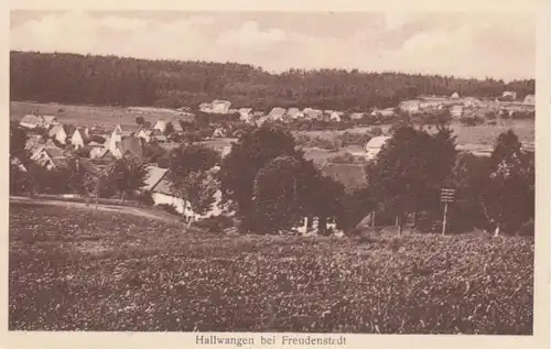 Hallwagen bei Freudenstadt, Teilansicht ngl 11.197