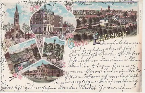 Elmshorn Grußlitho 6 Bilder gl1898 65.740