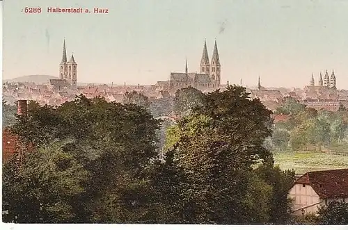 Halberstadt am Harz Panorama ngl C2000