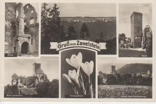 Gruß aus Zavelstein, Ruine,Krokusblüte ngl 11.045