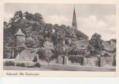 Salzwedel alte Stadtmauer ngl 90.899