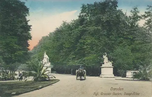 Dresden Kgl. Großer Garten Haupt-Allee gl1913 127.338