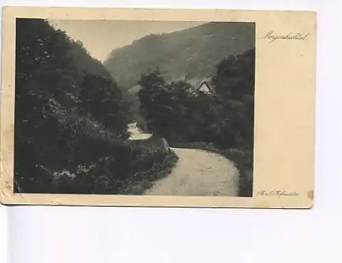 Das Morgenbachtal gl1926 18.411