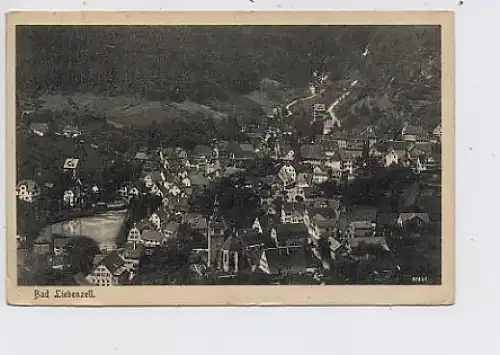 Bad Liebenzell, Gesamtansicht gl1924 34.906