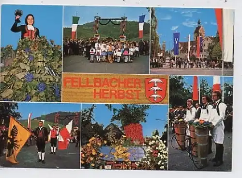 Fellbacher Herbst, Fest ngl 35.500