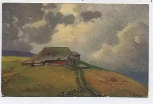 Reiss Herbst im Schwarzwald ngl 39.001