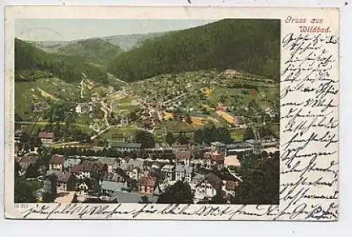 Gruss aus Wildbad Gesamtansicht gl1903 39.097