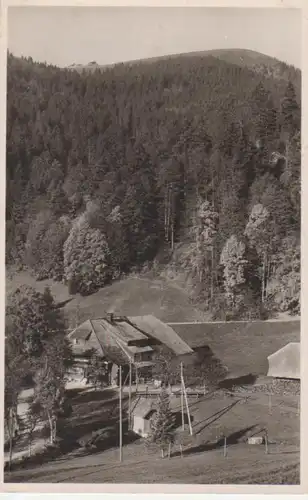 Schönau,Gasthof/Pension Belchen-Multen gl1960 62.855