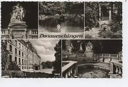 Donaueschingen Mehrbildkarte Schloss Foto ngl 39.066