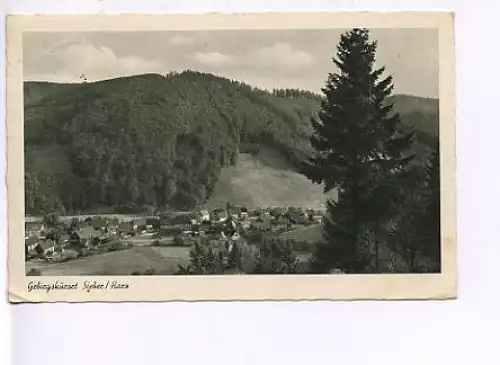 Sieber im Südharz Ansicht gl1953 17.571