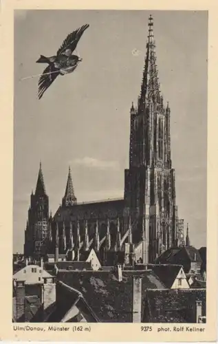 Ulm/Donau, Münster ngl 62.318