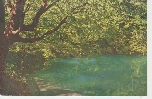 Blaubeuren - Blautopf gl1924 62.692