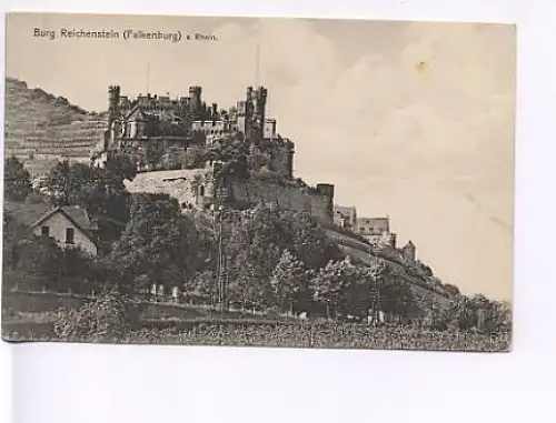 Burg Reichenstein (Falkenburg) a.Rhein ngl 18.081