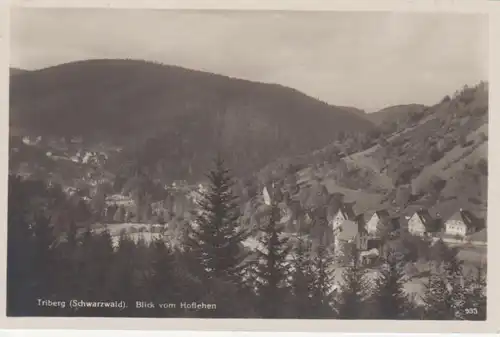 Triberg (Schwarzw.) - Blick vom Hoflehen ngl 62.729