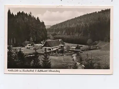 Kohlmühle im Zinsbachtal b. Wörnersberg gl1953 38.497