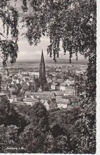 Freiburg i. Breisgau - Münster ngl 62.740