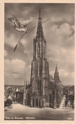 Ulm an der Donau - Münster ngl 62.961