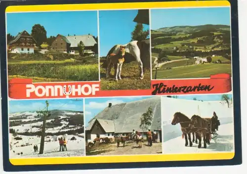 Hinterzarten - Ponnyhof,Teilansichten,Pferde ngl 62.627