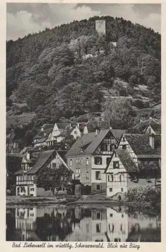 Bad Liebenzell - Blick zur Burg gl1953 63.055
