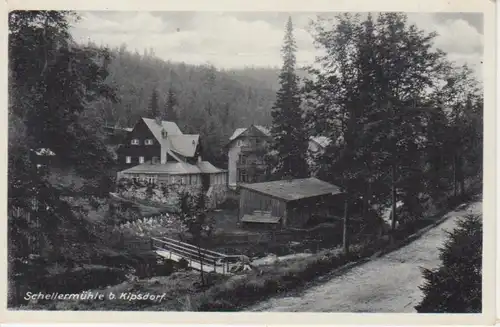 Schellermühle/Kipsdorf Pension Flechsig gl1937 86.795