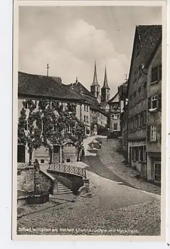 Solbad Wimpfen am Neckar.Löwenbrunnen ngl 38.439