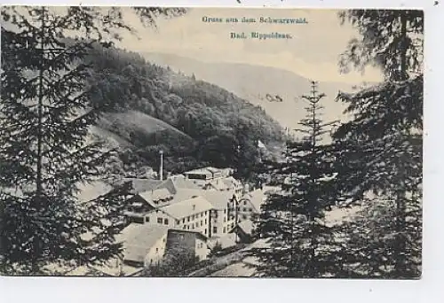 Bad Rippoldsau - Gruß aus dem Schwarzwald gl1907 38.385