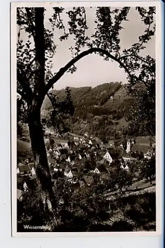 Wiesensteig Württ Schwäbische Alb Ansicht gl1952 30.400