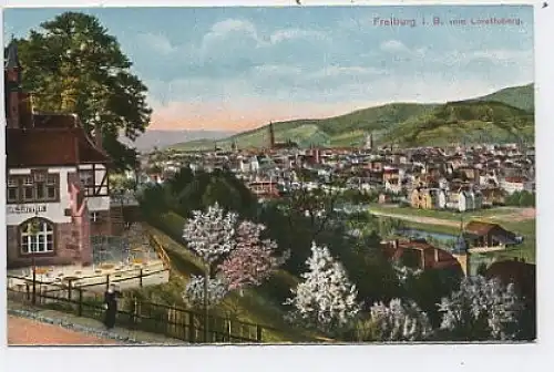 Freiburg i. B. vom Lorettoberg ngl 38.556