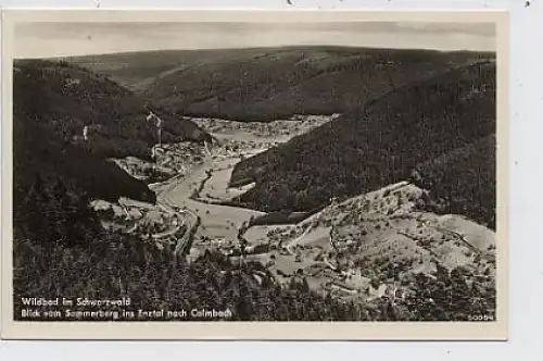 Wildbad im Schwarzw.-Blick ins Enztal ngl 37.047