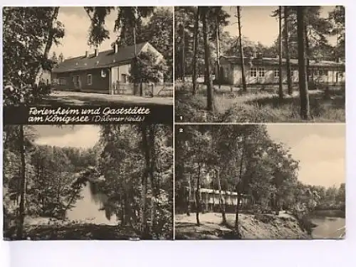 Gaststätte Königssee (Dübener Heide) gl1949? 17.474