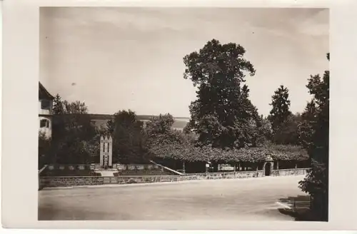 Neuenstadt a/K Kriegerdenkmal u.Linde ngl B5960