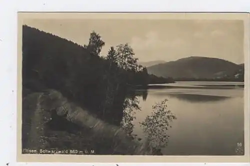 Titisee im Schwarzwald ngl 38.848