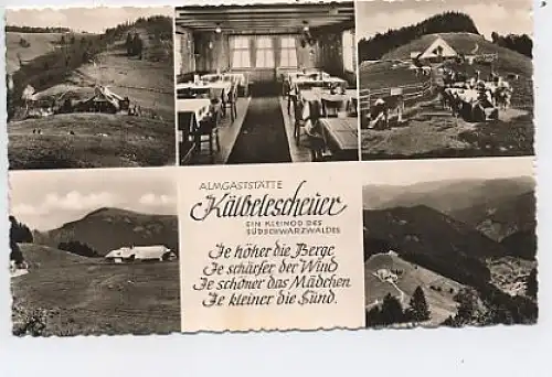 Almgaststätte Kälbelescheuer(Schwarzwald) gl1964 38.988