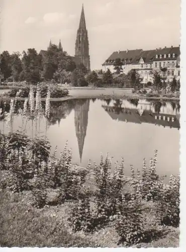 Freiburg/Schwarzw.-Stadtgarten,Münster glca1950 60.294