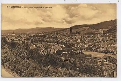 Freiburg in Br. Vom Lorettoberg gesehen ngl 37.227