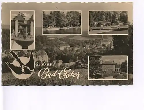 Gruß aus Bad Elster mit 5 Ansichten gl1950 18.570