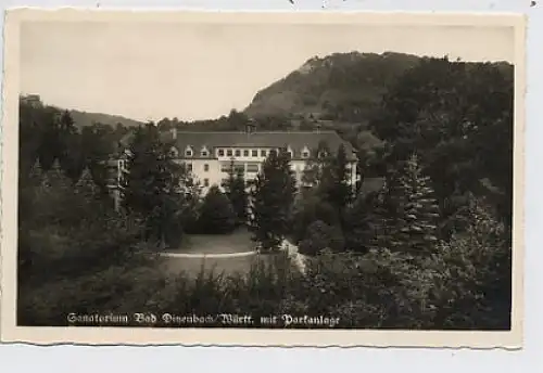 Sanatorium Bad Ditzenbach, Parkanlage gl1941 36.943