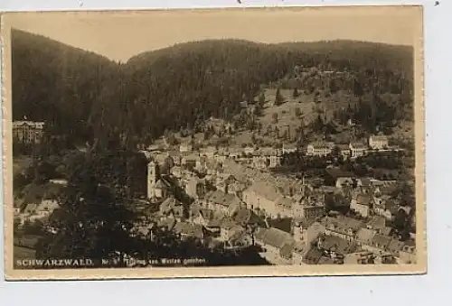 Triberg von Westen gesehen gl1912 36.991