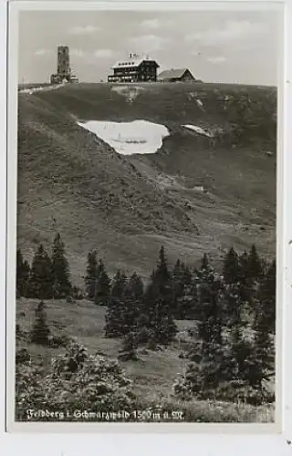 Feldberg im Schwarzwald ngl 36.956