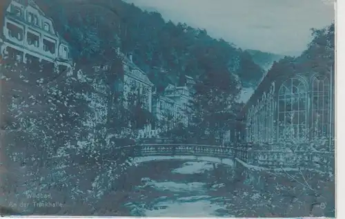 Wildbad an der Trinkhalle gl1927 61.599