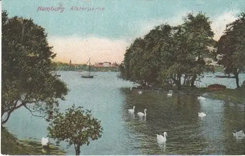 Hamburg Alster-Partie mit Schwänen Litho gl1913 B7890