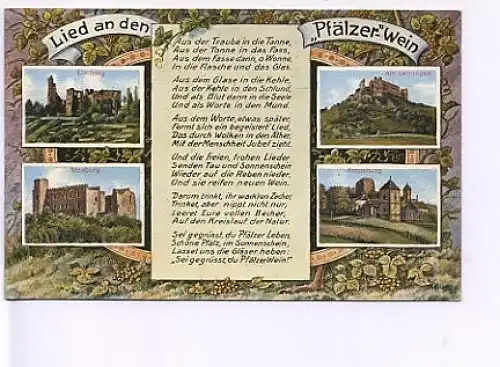 Lied an den Pfälzer Wein mit 4 Bildern ngl 15.241