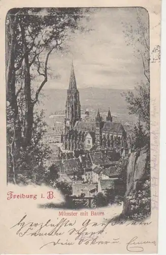 Freiburg Münster mit Baum gl1901 71.328