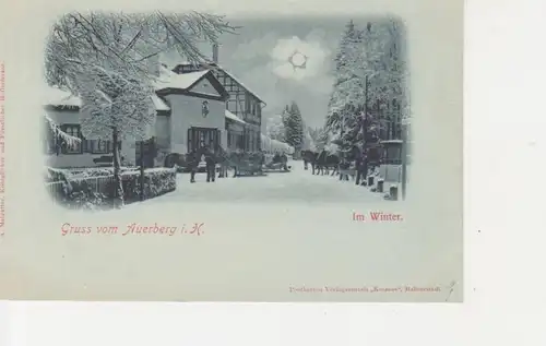 Auerberg Partie im Winter ngl 92.120