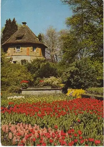Insel Mainau Tulpen am Wehrturm gl1964 21.633