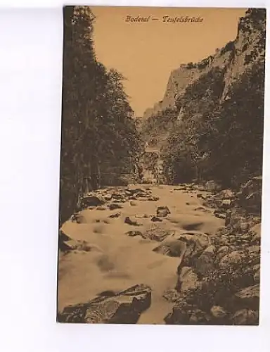 Bodetal Teufelsbrücke im Harz ngl 18.431